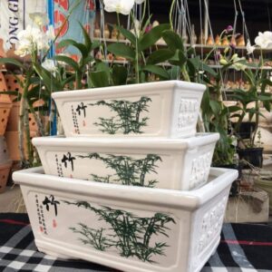 Chậu sứ cao cấp chữ nhật
