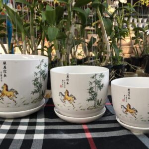 Chậu tròn sứ cao cấp
